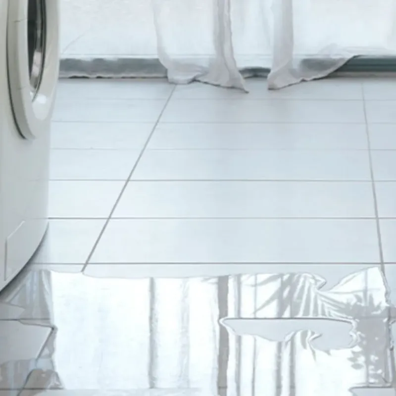 Appliance Leak Cleanup in Greene County, AL