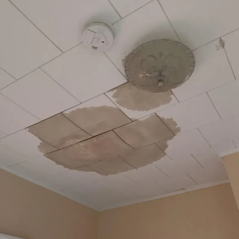 Ceiling Water Damage Repair in Greene County, AL