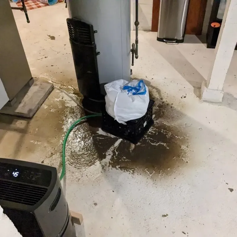Sewage Backup Cleanup Service in Greene County, AL